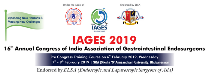 16 th Annual  Congress of India Association of Gastrointestinal Endosurgeons 2019